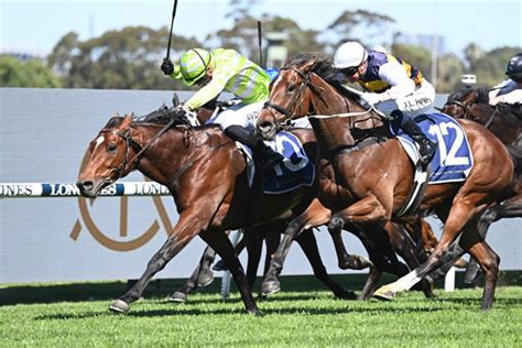 rosehill gold cup prediction|2023 Rosehill Gold Cup I Odds & Tips I Ladbrokes.